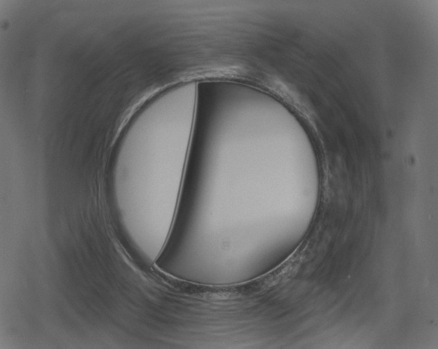 X0000078890107200611131040