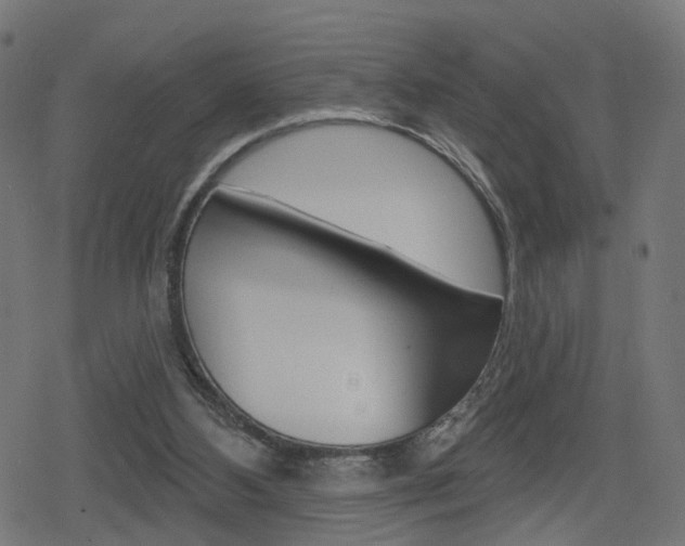 X0000078890108200611131040