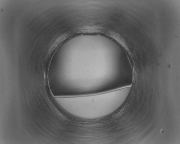 X0000078890109200611131040