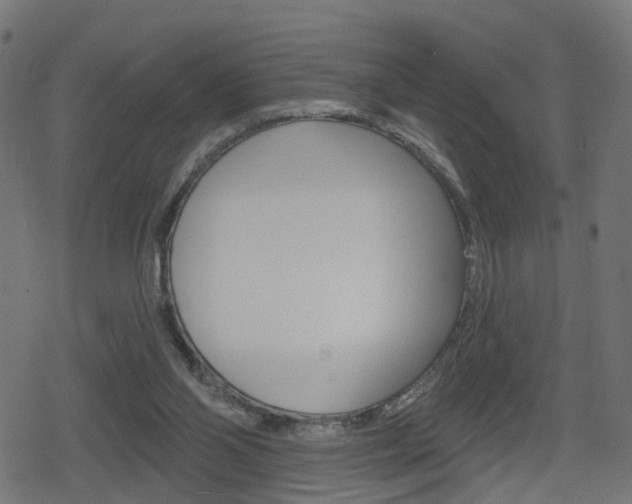 X0000078890110200611131040