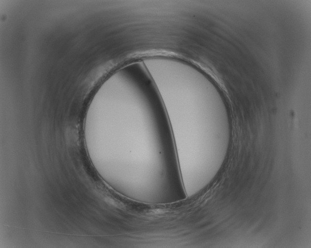 X0000078890111200611131040