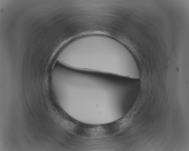 X0000078890112200611131040