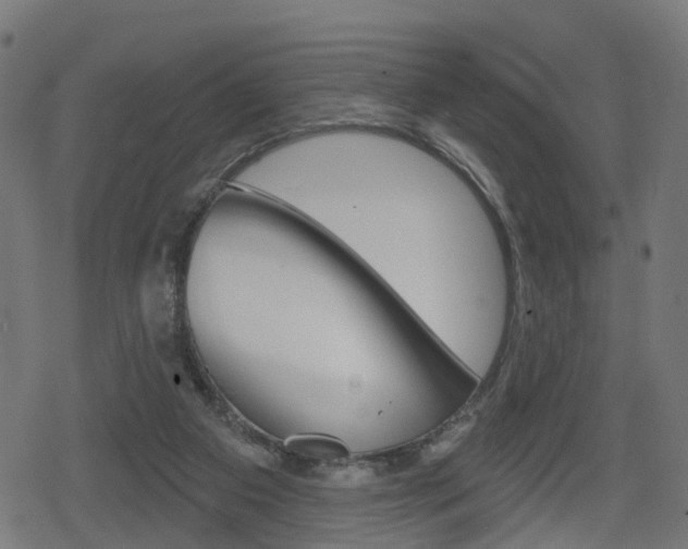 X0000078890113200611131040