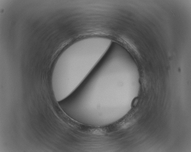 X0000078890115200611131040