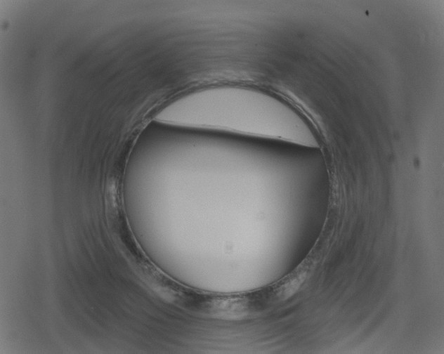 X0000078890117200611131040