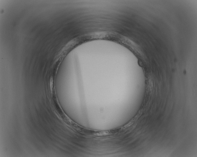 X0000078890118200611131040