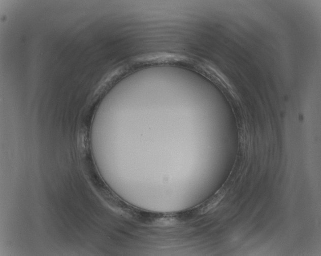 X0000078890119200611131040