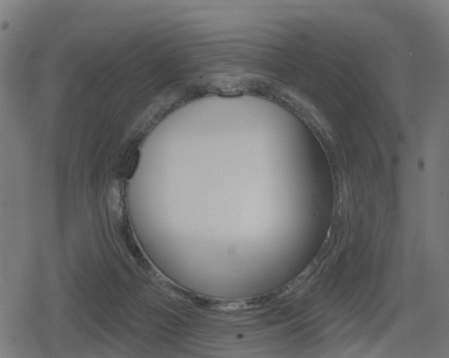 X0000078890121200611131040