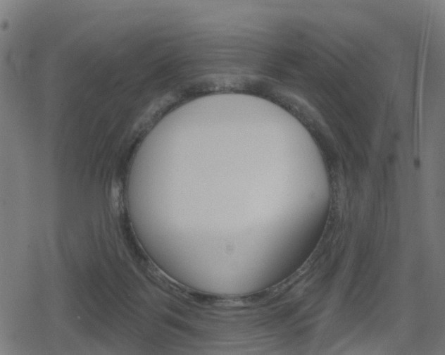 X0000078890123200611131040