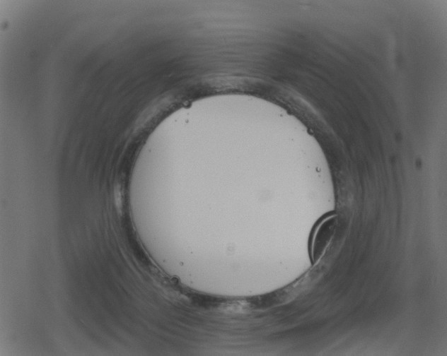 X0000078890124200611131040