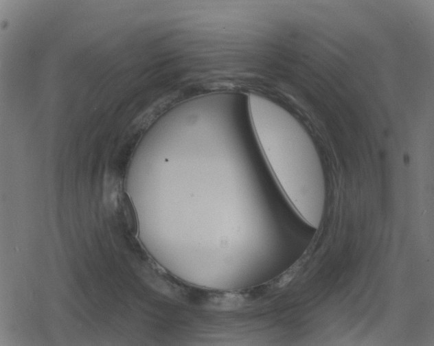 X0000078890125200611131040