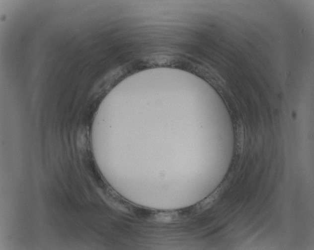 X0000078890126200611131040