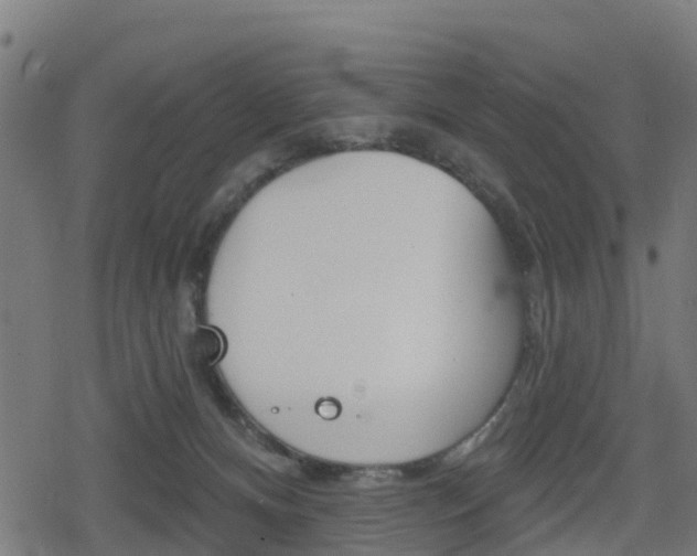 X0000078890128200611131039