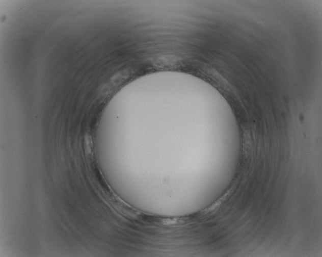 X0000078890130200611131039