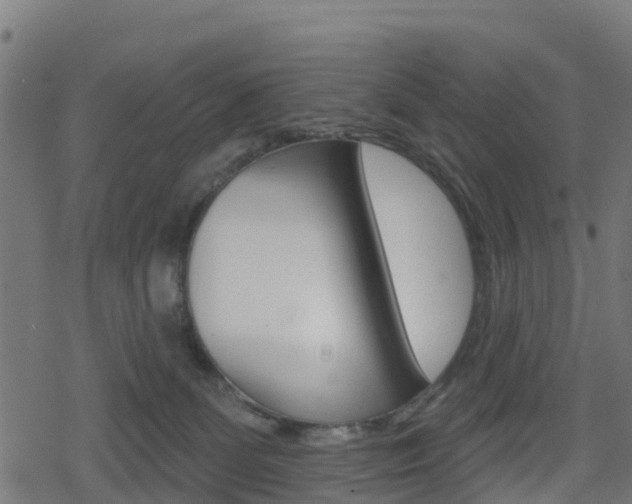 X0000078890131200611131039