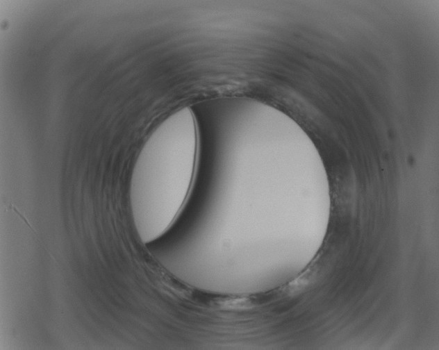 X0000078890132200611131039