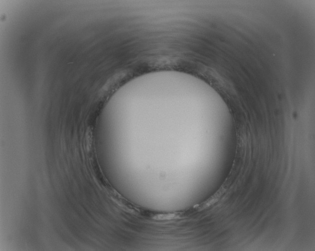 X0000078890133200611131039