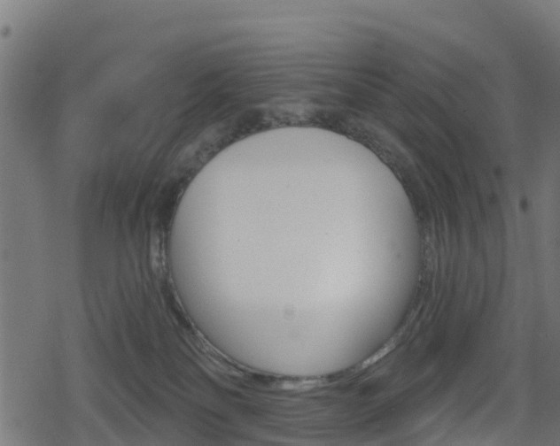 X0000078890134200611131039