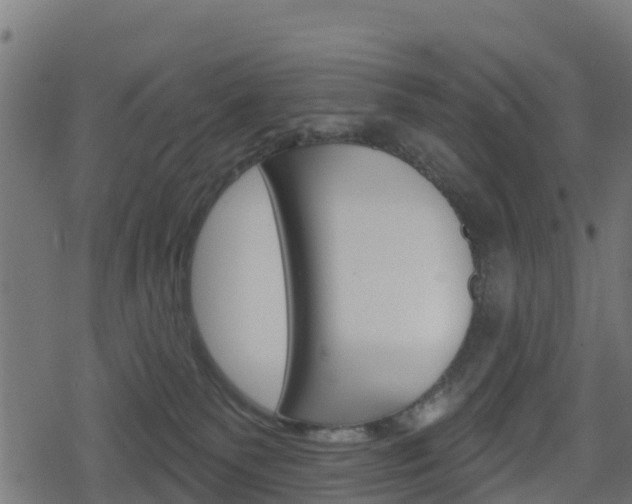 X0000078890135200611131039