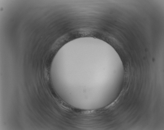 X0000078890136200611131039