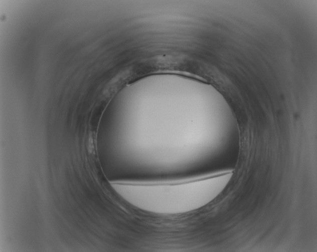 X0000078890137200611131039