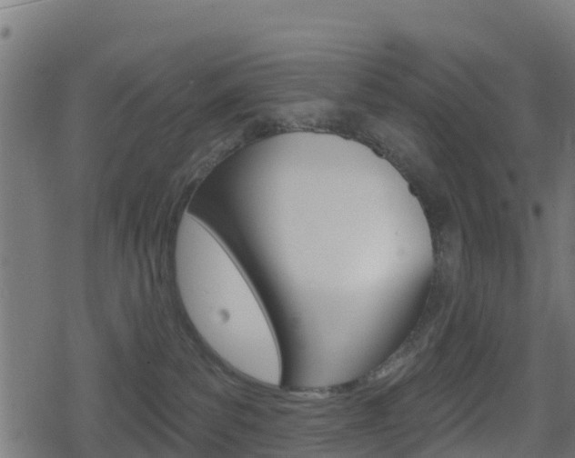 X0000078890139200611131039