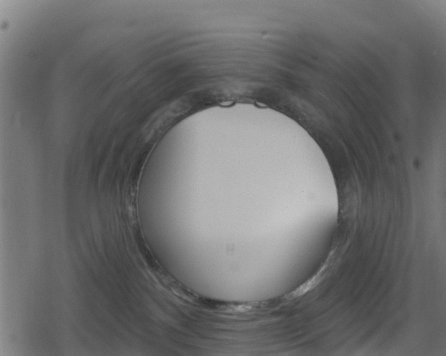 X0000078890140200611131039