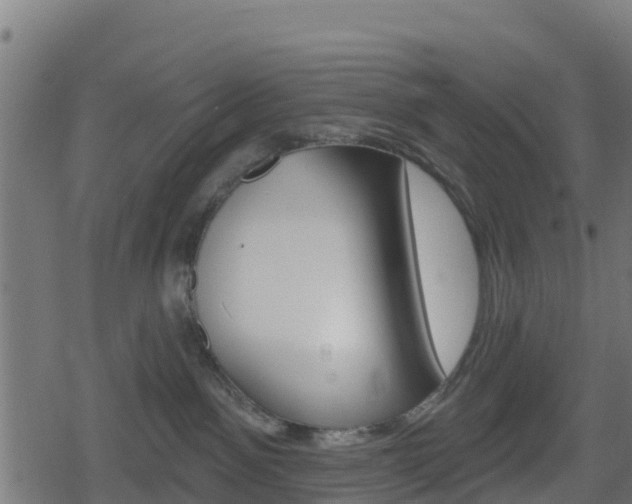 X0000078890141200611131039