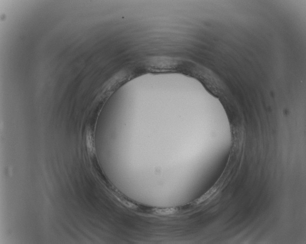 X0000078890143200611131039