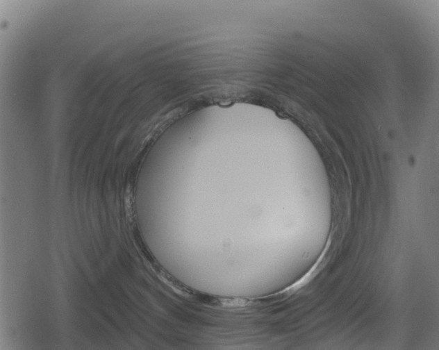 X0000078890144200611131039