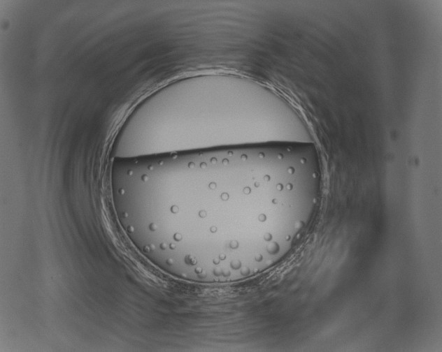 X0000078890145200611131038