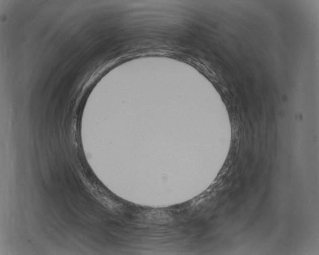 X0000078890146200611131038