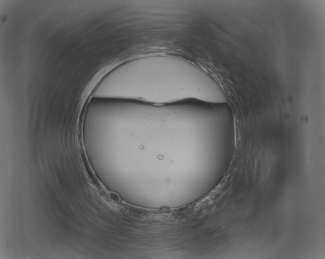 X0000078890147200611131038