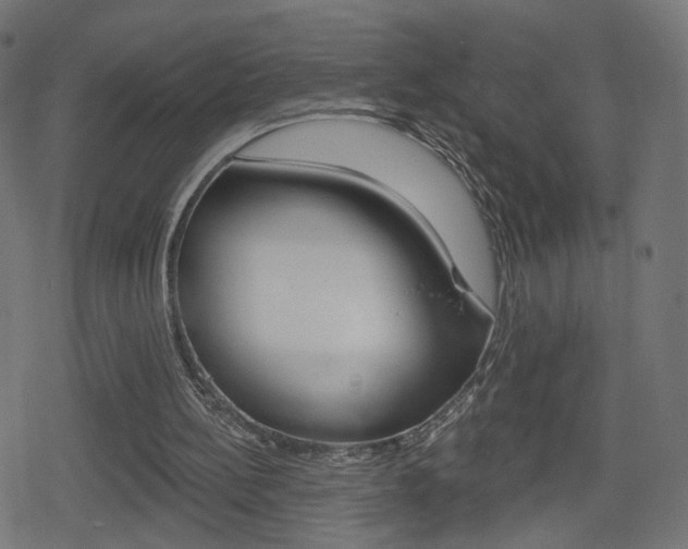 X0000078890148200611131038