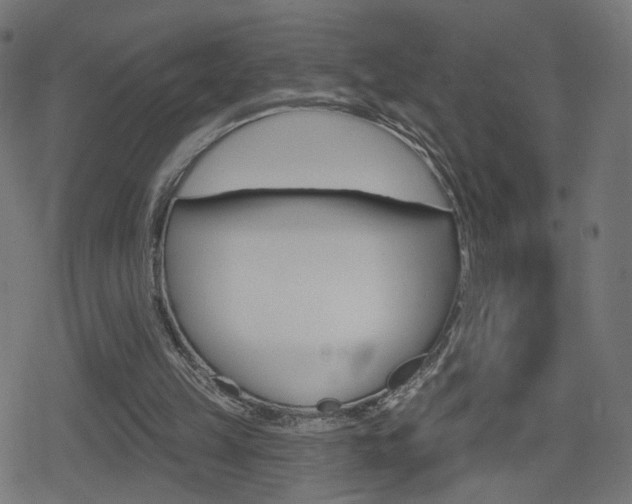 X0000078890149200611131038