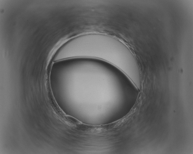 X0000078890152200611131039