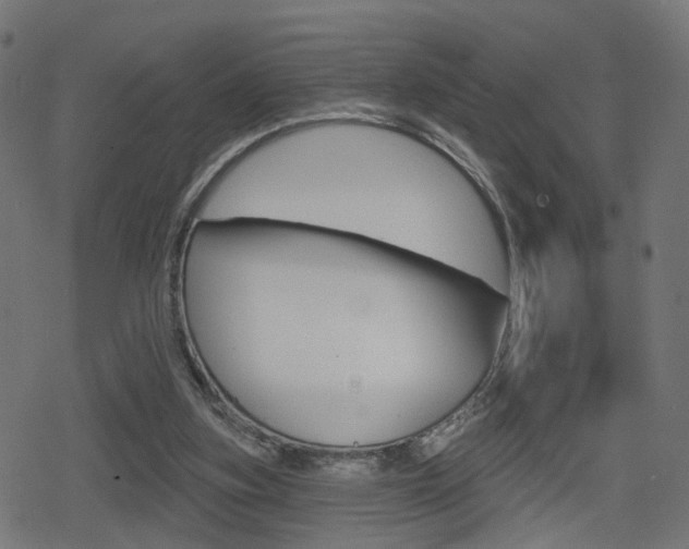 X0000078890155200611131039