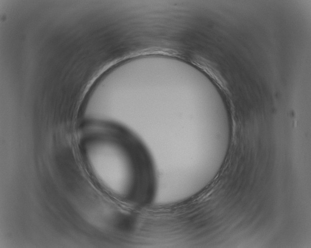 X0000078890156200611131039