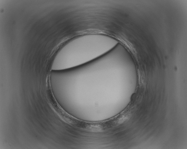 X0000078890157200611131039