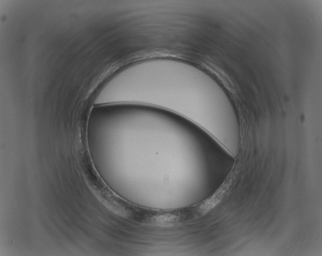 X0000078890158200611131039