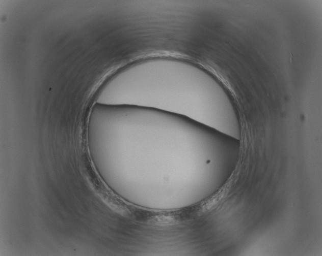 X0000078890159200611131039