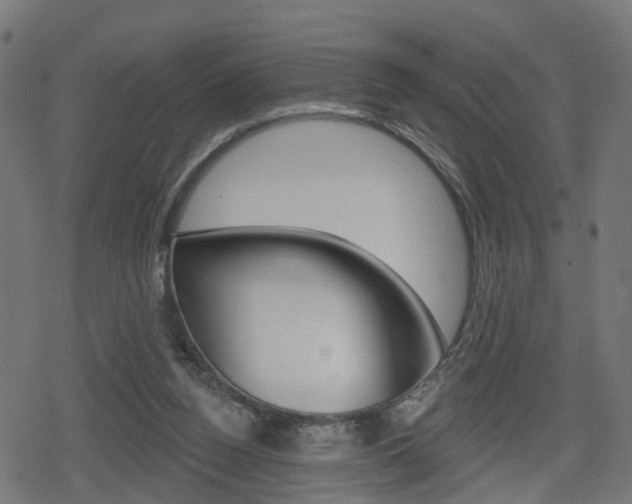 X0000078890160200611131039