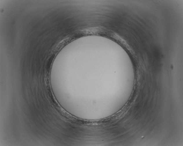 X0000078890161200611131039