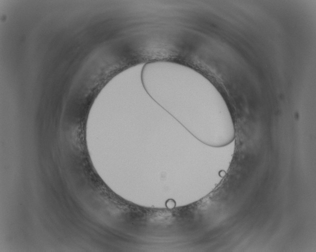 X0000078890162200611131039