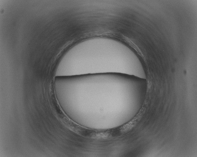 X0000078890163200611131039