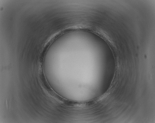 X0000078890164200611131039