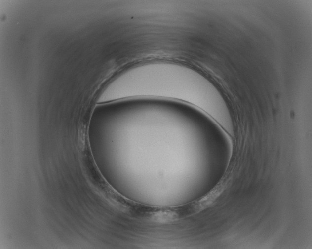 X0000078890168200611131039