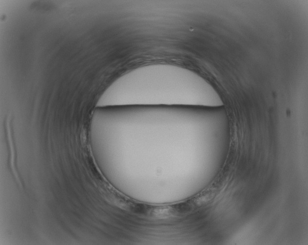 X0000078890173200611131039