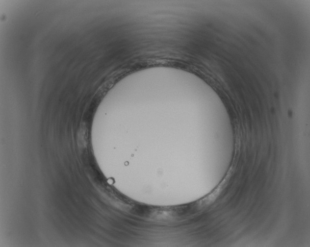 X0000078890174200611131039