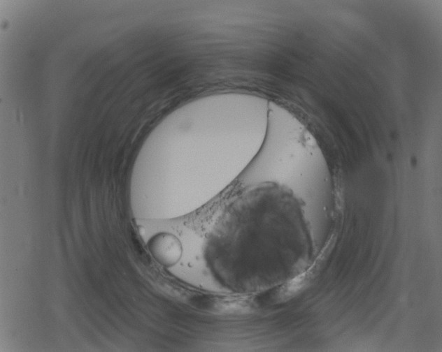 X0000078890175200611131039